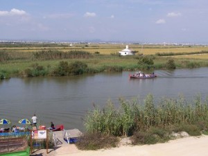 PUERTO catarroja PUERTO catarroja