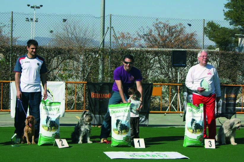 CEU 7ª Valenciana El Club Esportiu Agility Almussafes obtiene un nuevo podio