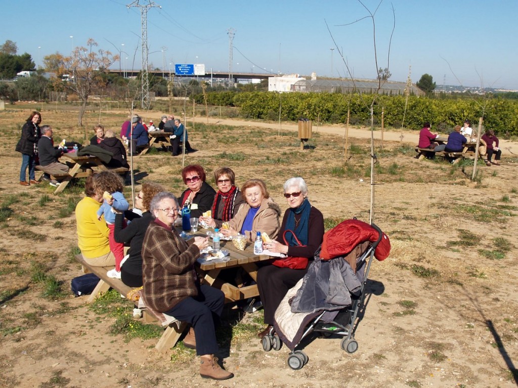 curso de Medio Ambiente organizado por las Concejalías de Medio Ambiente, de la dona y 3ª Edad y Participación Ciudadana