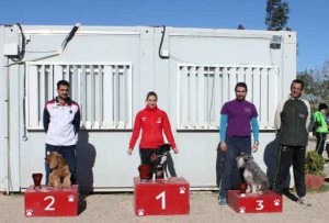 El Club Esportiu Agility Almussafes obtiene un nuevo podio