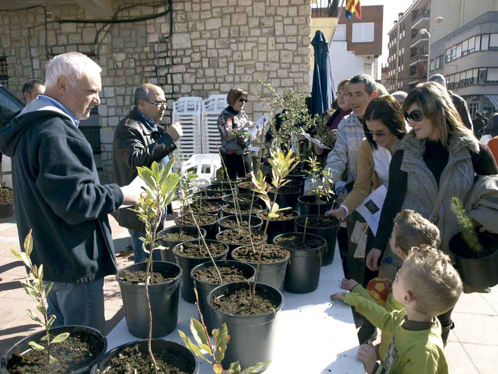 arbolarchivo2012-almussafes Día Mundial del Árbol de este año 2013