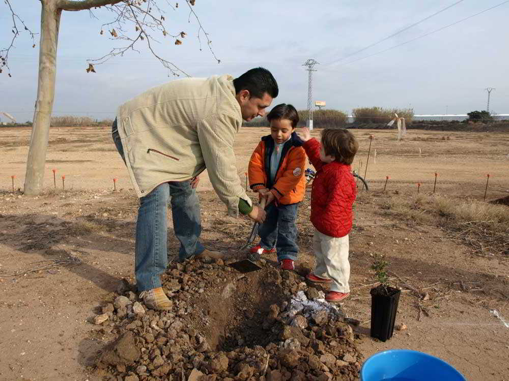 plantacion-parque-rural-almussafes Dia del Medi Ambient