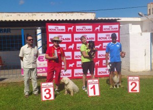 Agility de Almussafes