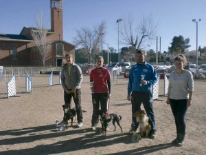 club Esportiu Agility Almussafes