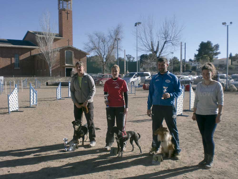 club Esportiu Agility Almussafes