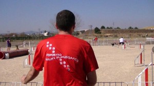 Master de Agility en Almussafes