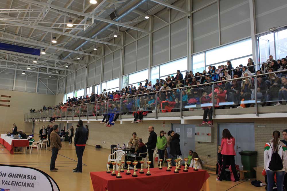 gimnasia-autonomico-almussafes Almussafes, sede autonómica de la gimnasia rítmica