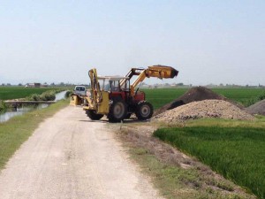 Alfafar realiza la limpieza de caminos rurales de la marjal de la Albufera