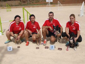 Esportiu Agility Almussafes 