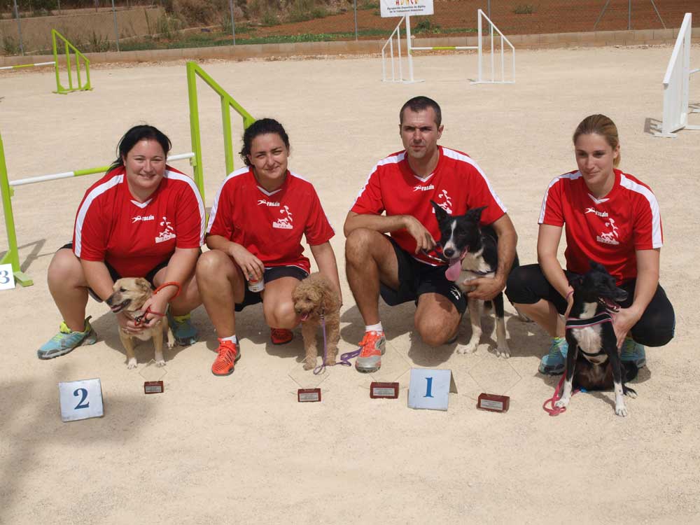 Esportiu Agility Almussafes