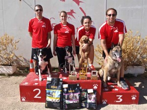 Esportiu Agility Almussafes