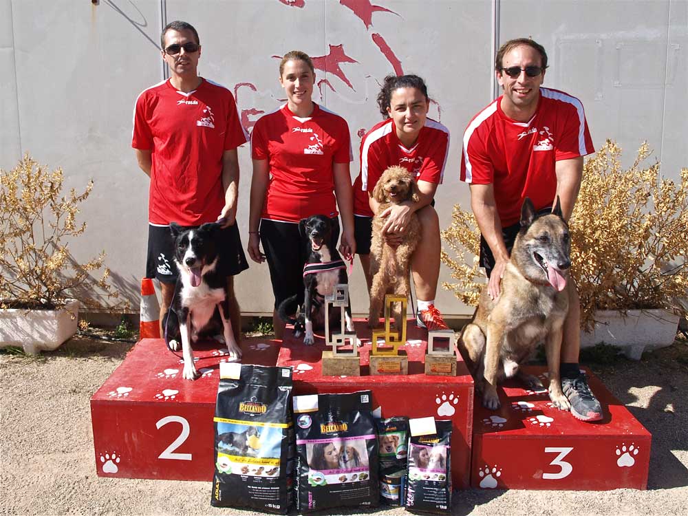Esportiu Agility Almussafes