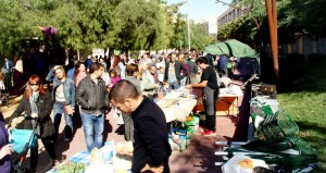 Mercado Ecológico y Artesanal