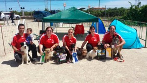 club Esportiu Agility Almussafes club Esportiu Agility Almussafes