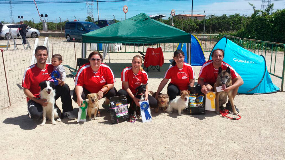 club Esportiu Agility Almussafes