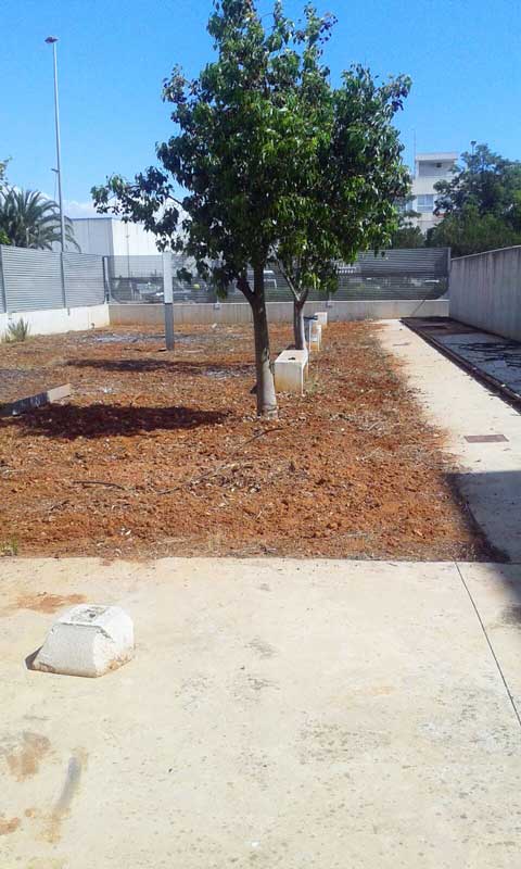 HORT-IES huerto escolar