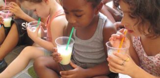 Estiu L’udic d’Alfafar