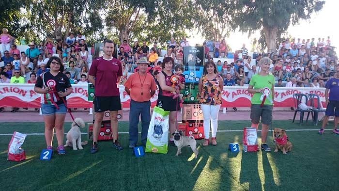 Esportiu Agility Almussafes