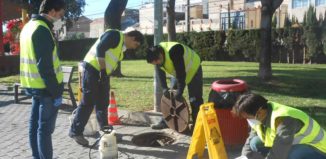 campañas de desinsectación, desratización