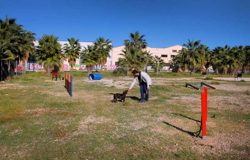 parque canino en Patacona parque canino en Patacona