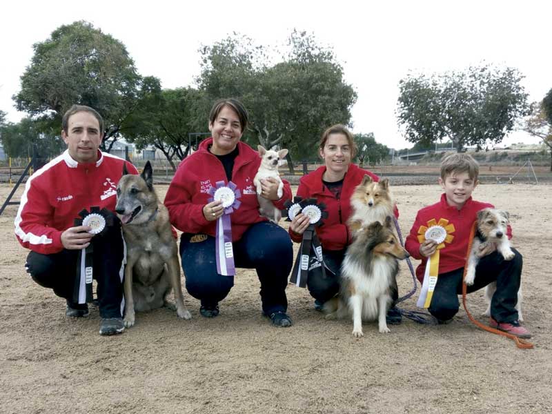 Club Esportiu Agility de Almussafes