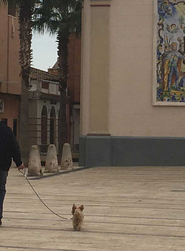 perroatado Policía Local de Alfafar