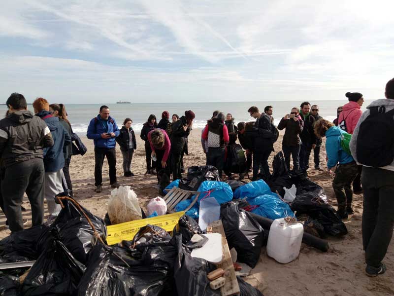 Jornada Medio Ambiental en la Playa de la Patacona Jornada Medio Ambiental en la Playa de la Patacona