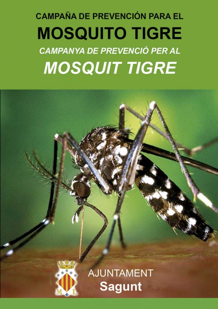 mosquito Tigre